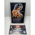 VINTAGE 2002 PINUPS SHYGIRL HOMIES GONZALES GRAPHICS HOLOGRAPHIC STICKER DECAL