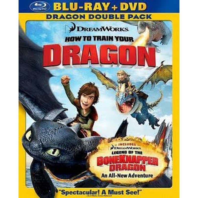 HOW TO TRAIN YOUR DRAGON ON  BLU RAY/DVD MOVIE CLEANED* TESTED WORKING